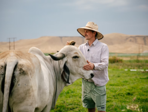 Un hombre cepillando a una vaca en un campo.